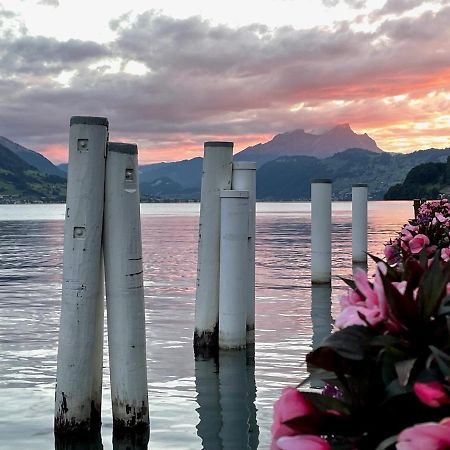 Ferienwohnungen Mit 4 Betten In Gersau Direkt Am Vierwaldstaettersee Eksteriør billede