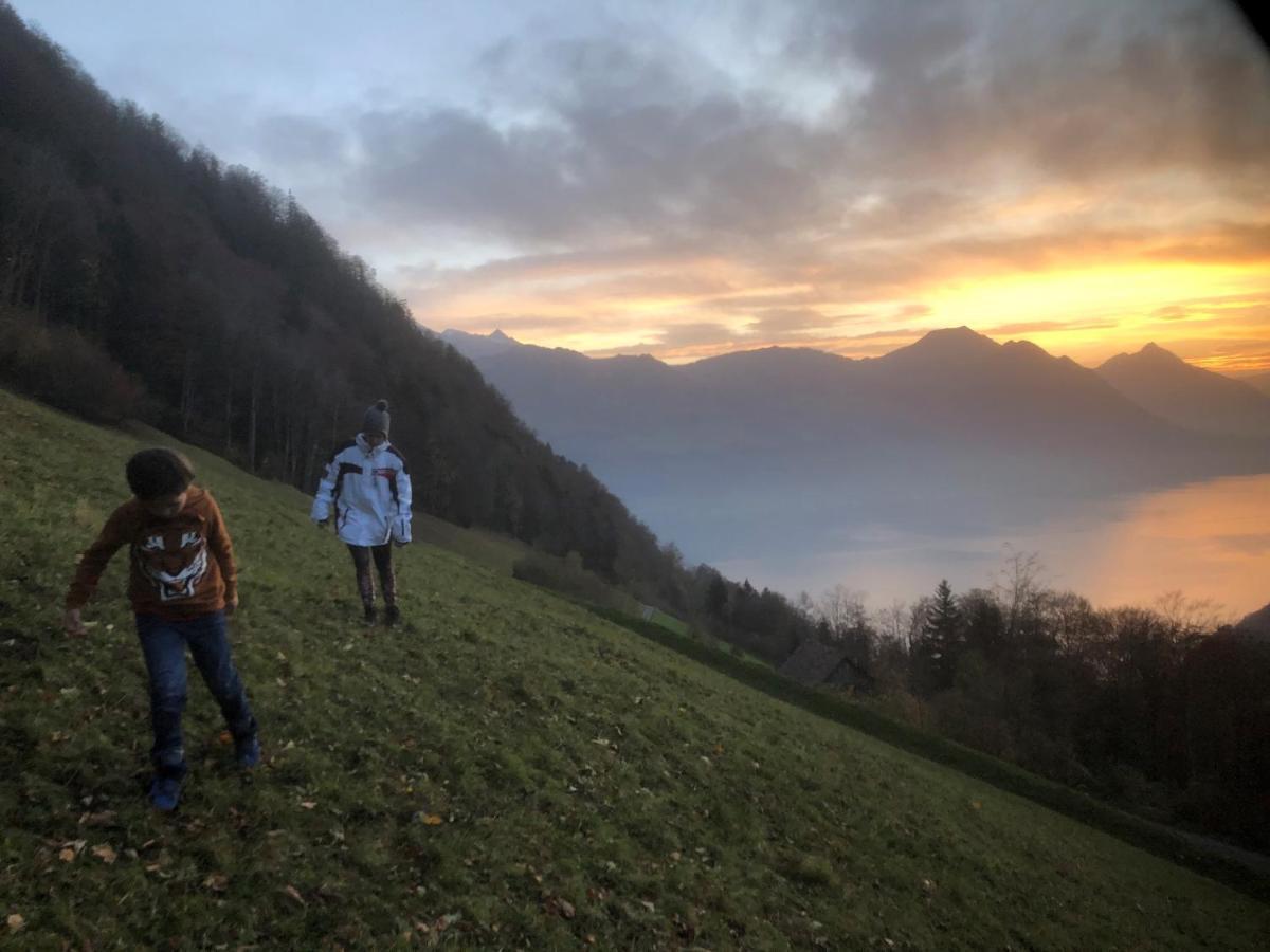 Ferienwohnungen Mit 4 Betten In Gersau Direkt Am Vierwaldstaettersee Eksteriør billede
