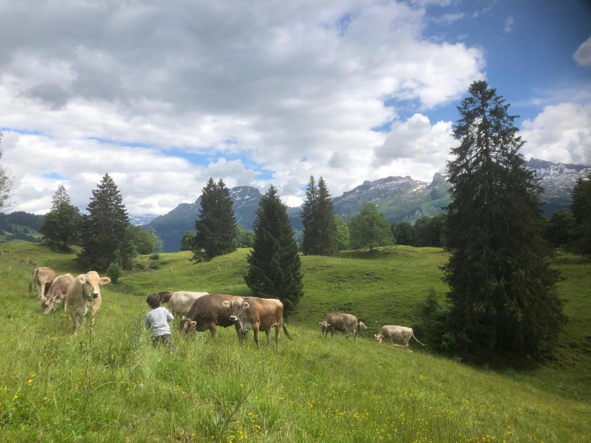 Ferienwohnungen Mit 4 Betten In Gersau Direkt Am Vierwaldstaettersee Eksteriør billede